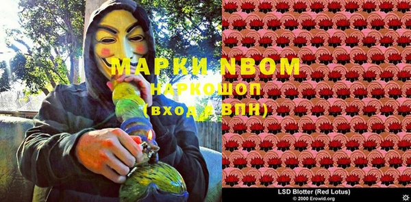 гидра Алексин