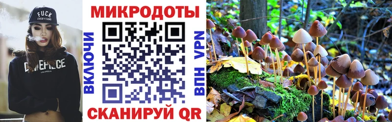 Купить закладки  Белебей  Галлюциногенные грибы GOLDEN TEACHER 